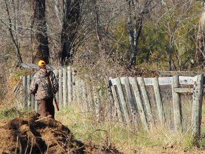 20260208130005_950453