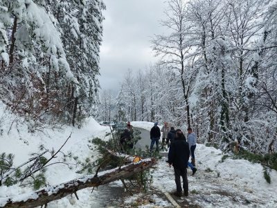 265036900_645435716906673_8977520031311775449_n