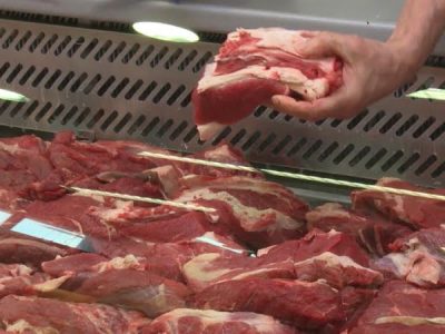 7387825728d492d7d6de4841c20d9d55