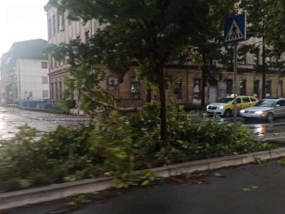 brcko