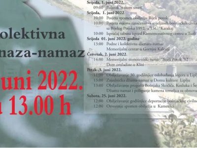 dzenaza