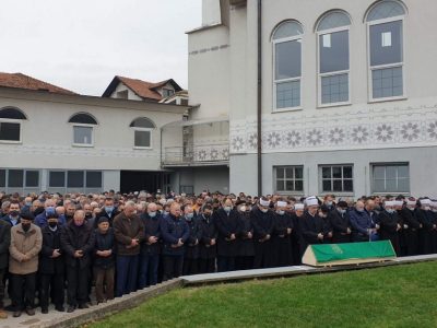 dzenaza davud