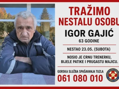 gajic