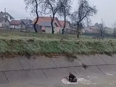 spasavanje-srne-.jpg