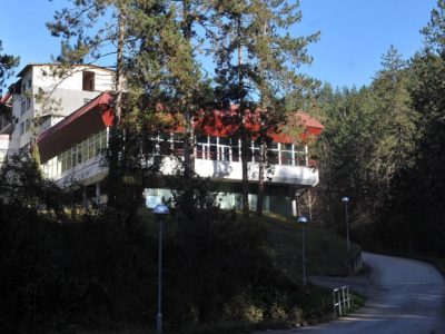 vilina vlas